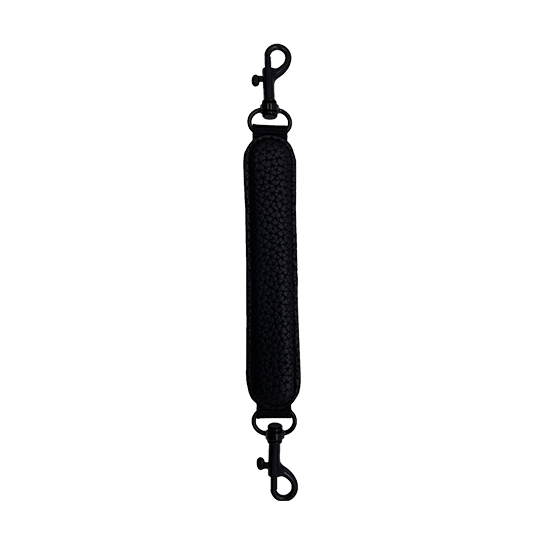 Carry handle