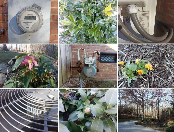 emdoor-em-t50-sample-pics-710-72.webp emdoor-em-t50-sample-pics-710-72.webp